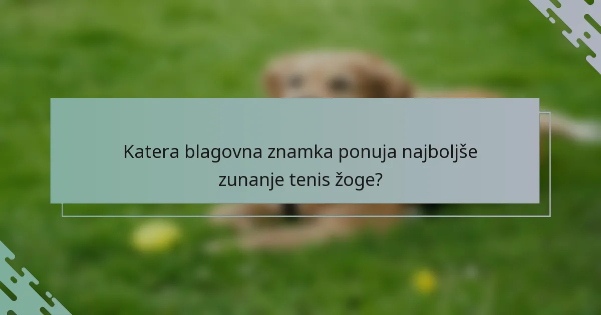 Katera blagovna znamka ponuja najboljše zunanje tenis žoge?